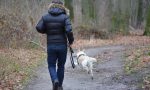 Cani liberi, giro di vite della Locale contro i padroni