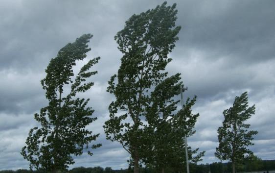Allerta arancione della Protezione Civile per rischio vento forte