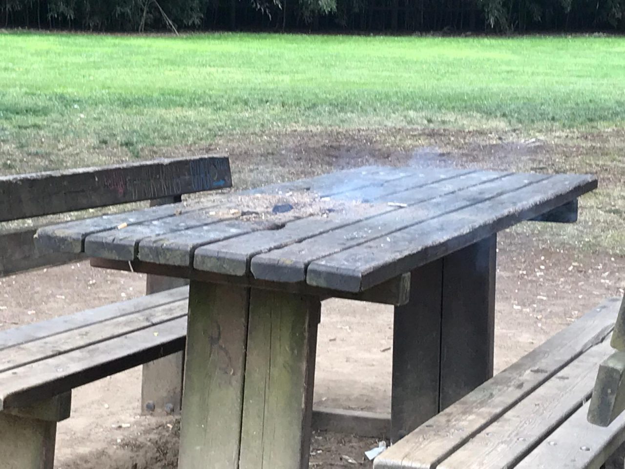 Ragazzi annoiati tentano di dar fuoco al tavolo del parco di Villa Sottocasa FOTO