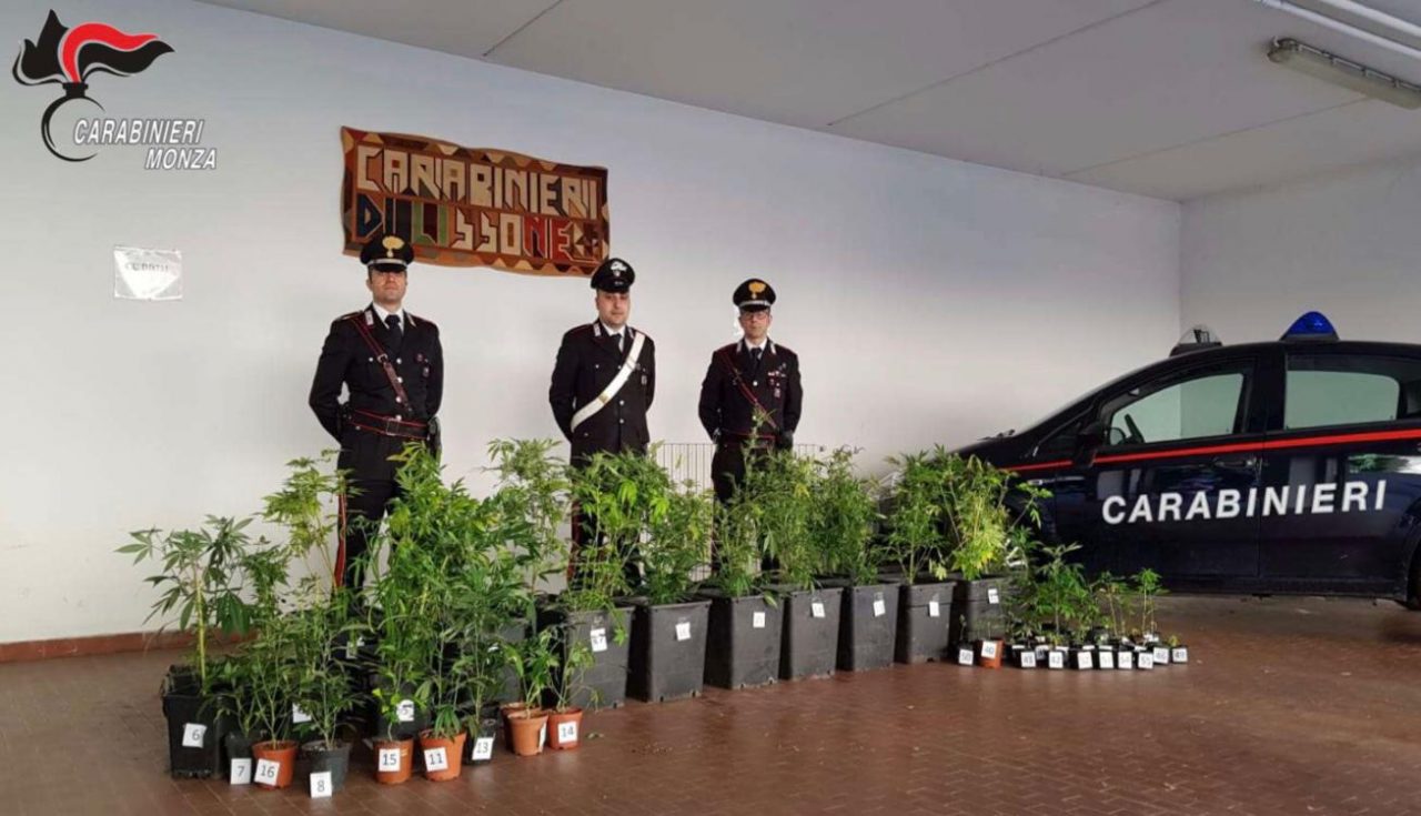 Nella botola segreta in casa nasconde una coltivazione di marijuana: arrestato 44enne FOTO