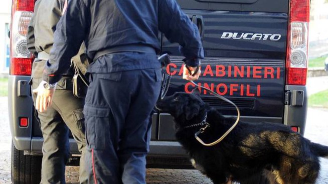 Carate Brianza, controlli a scuola con i cani antidroga
