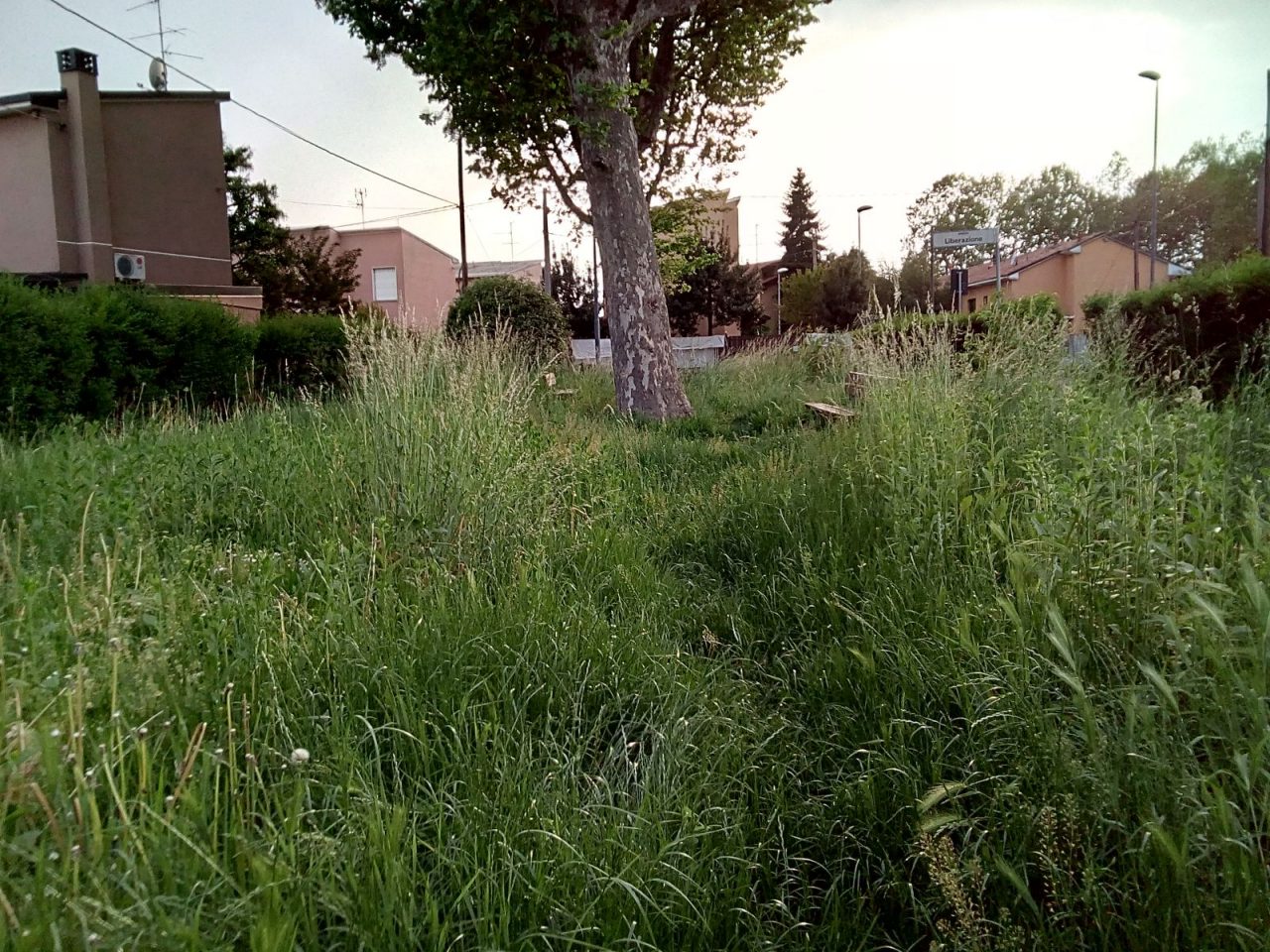 Concluse le potature, al via lo sfalcio dell’erba