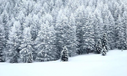 E' tornata la neve in Valtellina: lo spettacolo a Madesimo e Livigno FOTO