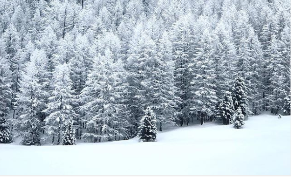 E’ tornata la neve in Valtellina: lo spettacolo a Madesimo e Livigno FOTO
