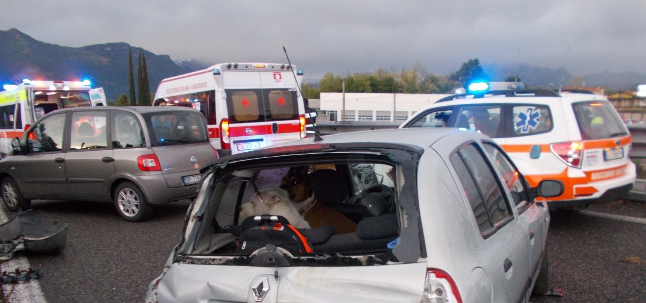 Incidente in Valassina, tre feriti: salvi per miracolo due cani LE FOTO