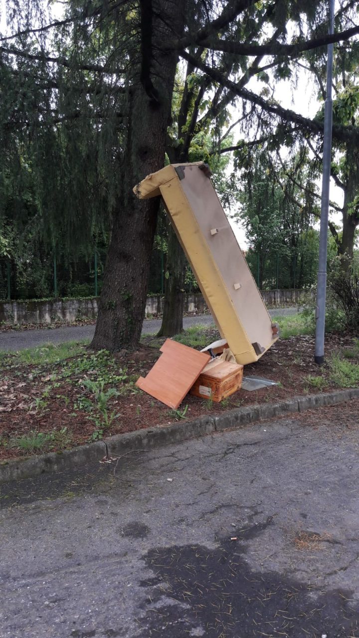 Un divano per… tenere in piedi l’albero