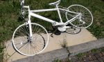 Ancora vandalizzata la bicicletta in memoria di Matteo Trenti