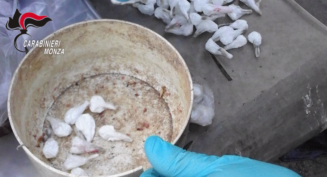 Madre, figlio e nipote arrestati: la droga nascosta nel pollaio FOTO E VIDEO