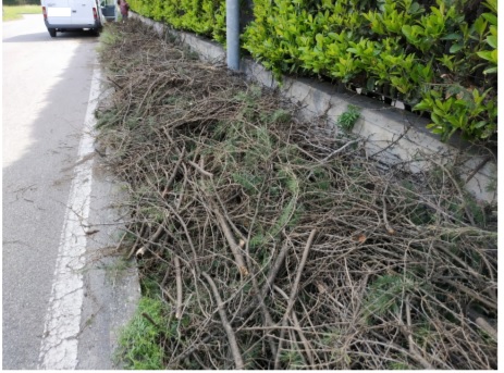 Scarica ramaglie occupando trenta metri di marciapiede, beccato e sanzionato