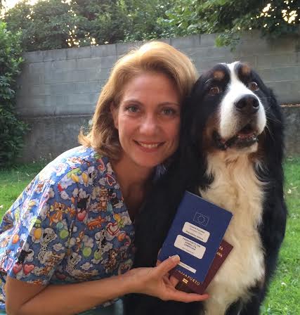Forasacchi pericolosi per i cani, ecco cosa fare