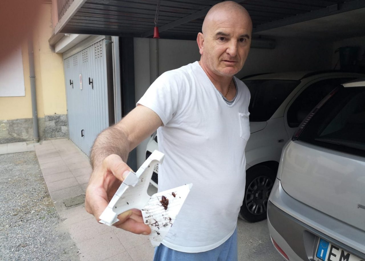 Intervento di BrianzAcque contro gli scarafaggi a Cesano