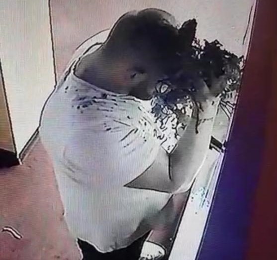 Rapina la sala slot cerca di nascondere il volto dietro a una pianta