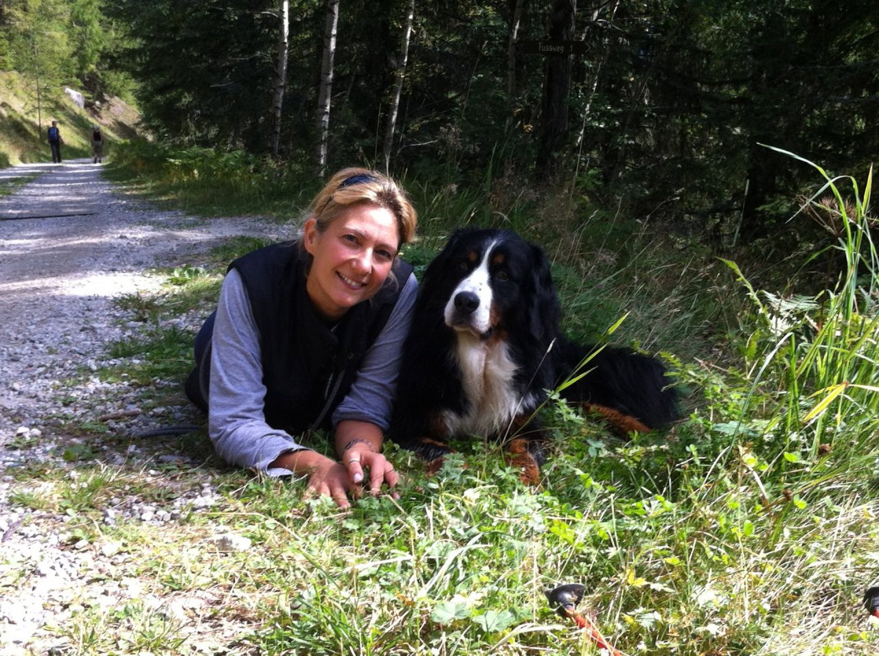 Combattere il caldo eccessivo, il vademecum della veterinaria Silvia Cattani