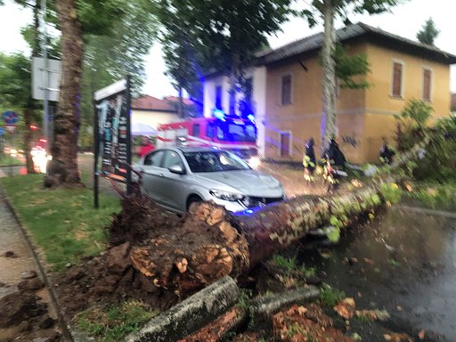 Temporale e grandine, albero cade su un’auto
