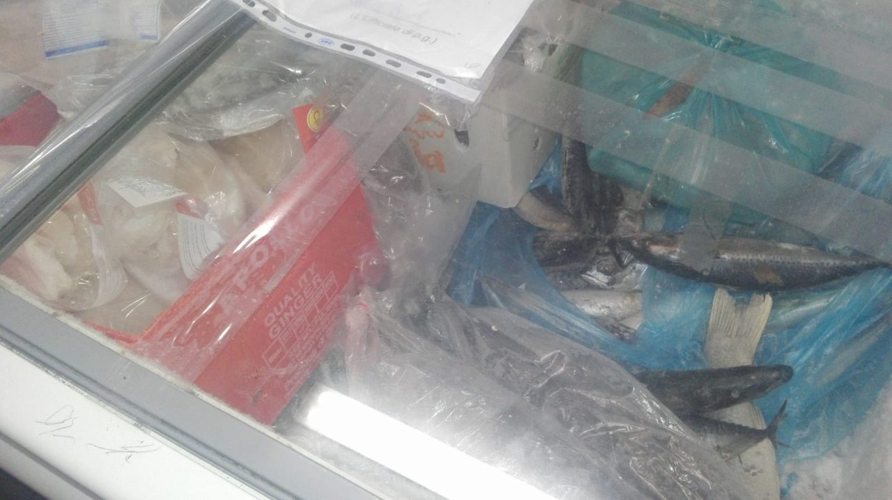 Cento chili di pesce marcio in un negozio etnico