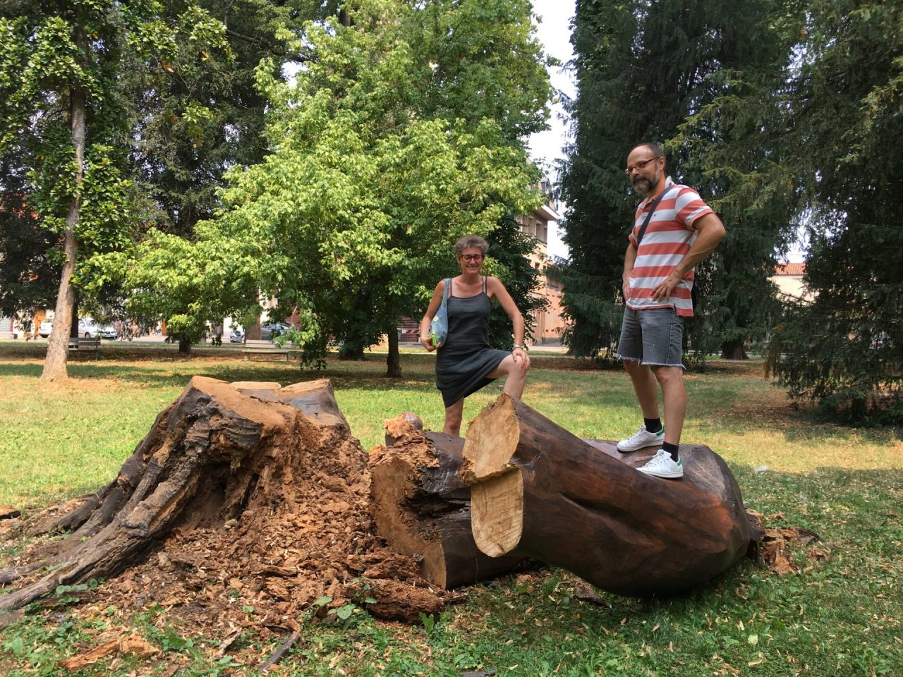 Distrutta la “Rinascita” del faggio centenario LE FOTO