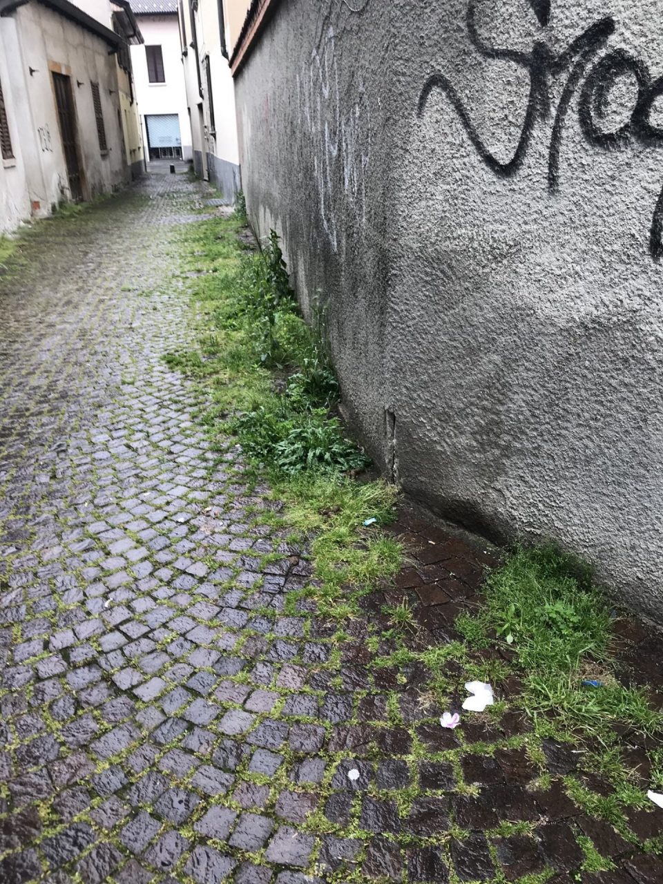 A Vimercate scendono in strada le squadre anti erbacce
