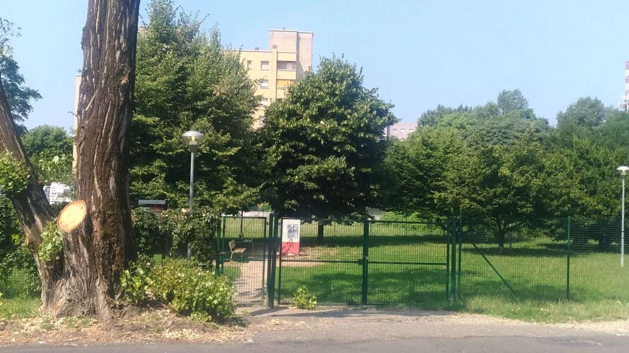 Aggredita da un cane, amputata di gambe e mani