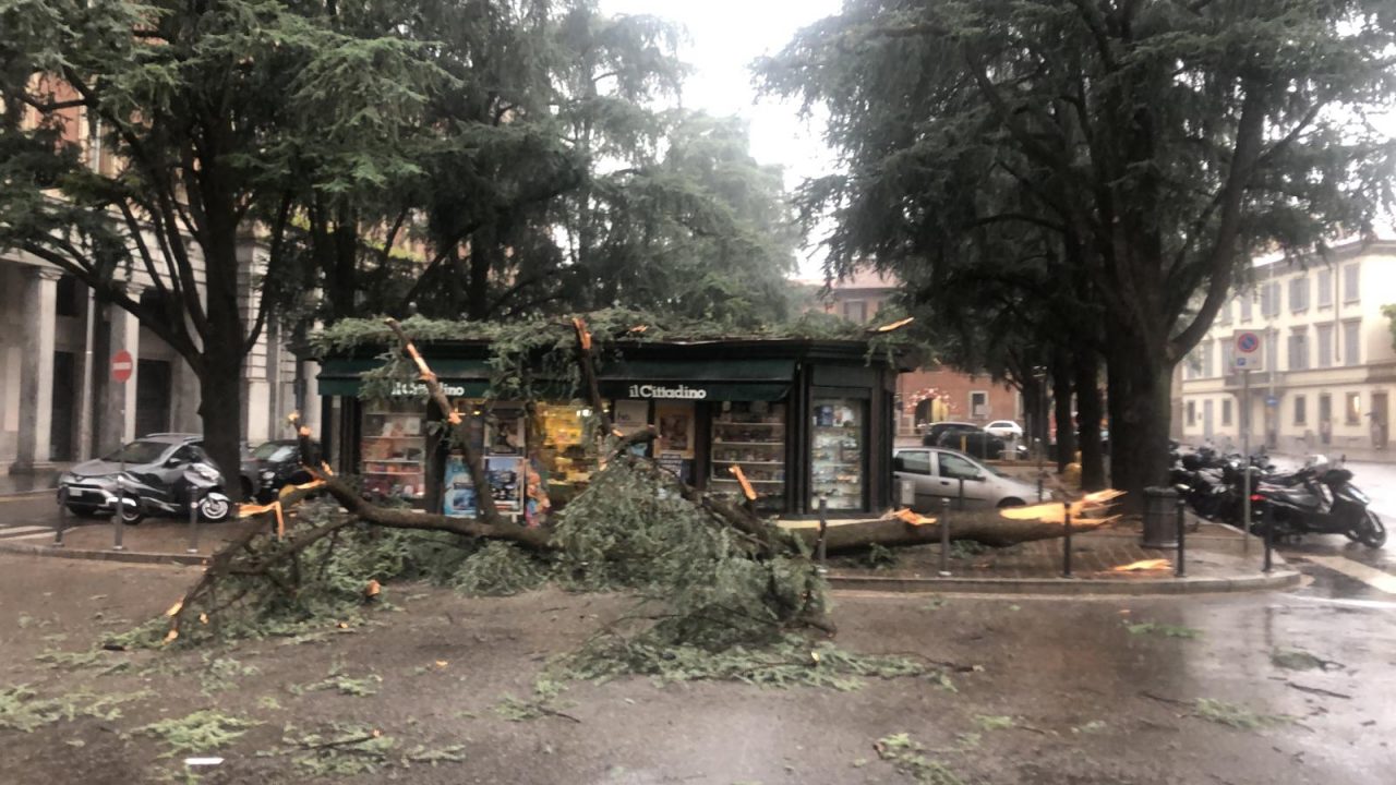 Albero crolla sull’edicola di piazza Carducci FOTO