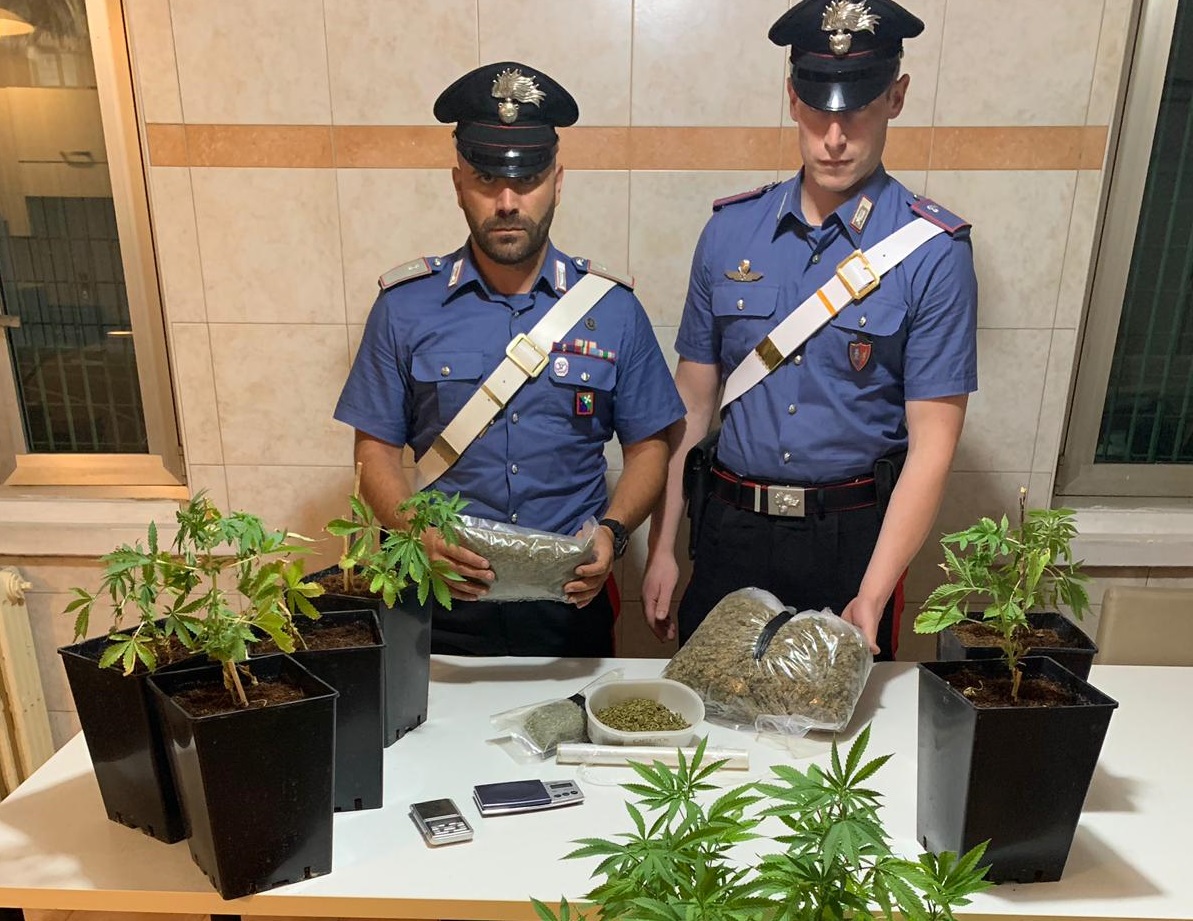 Piantine di marijuana sul balcone: arrestato un 37enne