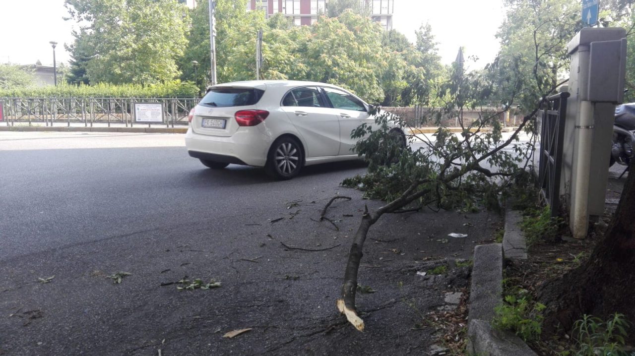 Cade grosso ramo, che paura per auto e pedoni