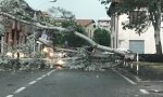 Albero sradicato dal vento crolla sulla strada FOTO