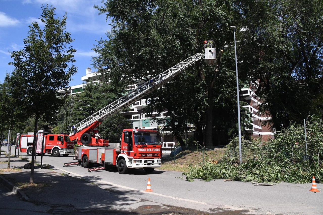 Albero pericolante nell’area cani: intervengono i Vigili del fuoco