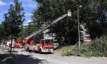 Albero pericolante nell'area cani: intervengono i Vigili del fuoco