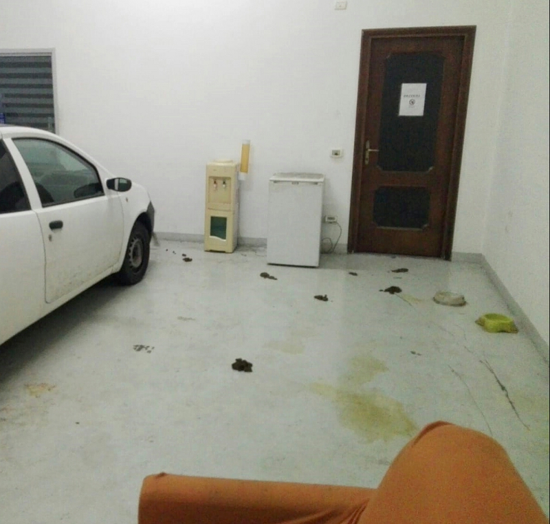 Il padrone parte per le ferie e lascia i cani chiusi nel box al buio
