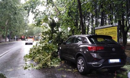 Vento forte e pioggia: si registrano i primi danni del maltempo