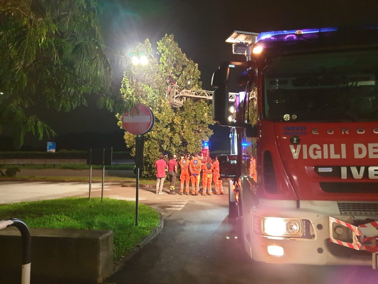 Litiga col fidanzato: attraversa la Valassina e si arrampica su un albero