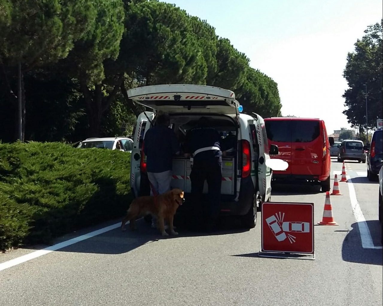 Incidente sulla Sp 6 a Macherio: ferito un 41enne