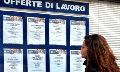 Il Comune offre un lavoro ma nessuno si presenta