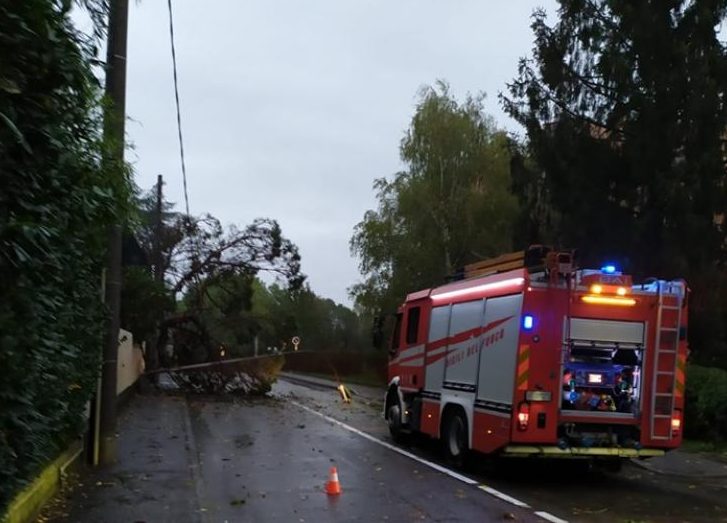 Vimercate, cade un albero in via Passirano