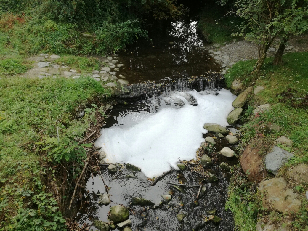 Schiuma nella Bevera a Renate: scatta la denuncia VIDEO