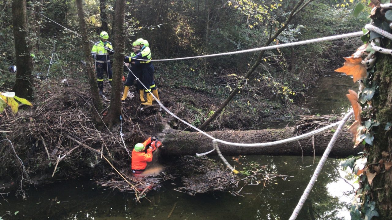 Il Molgora tagliato in due da un albero, Protezione civile al lavoro VIDEO