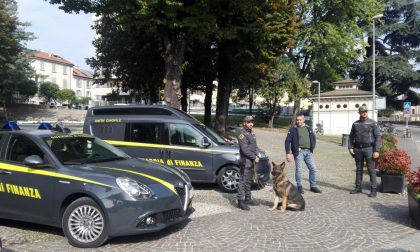 Guardia di Finanza Monza, controlli antidroga in città VIDEO
