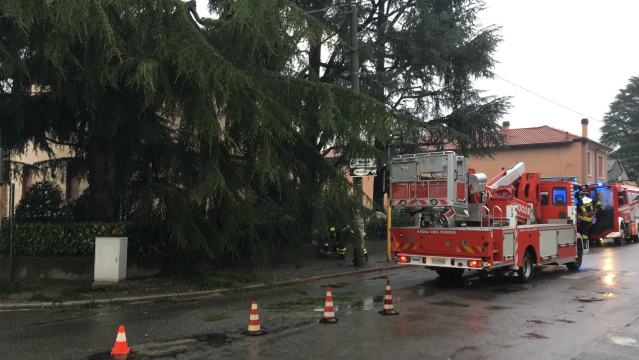 Albero cade sui cavi elettrici, case al buio