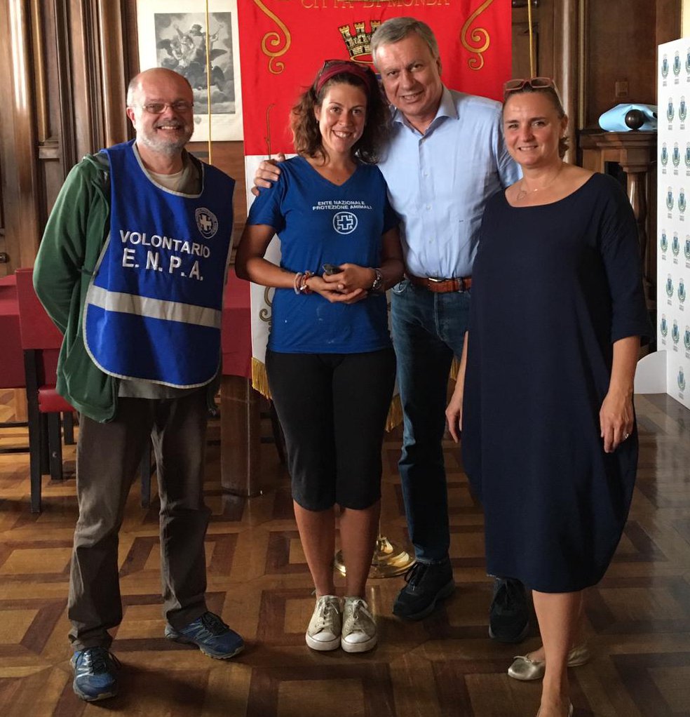 Un rondone fa visita al sindaco