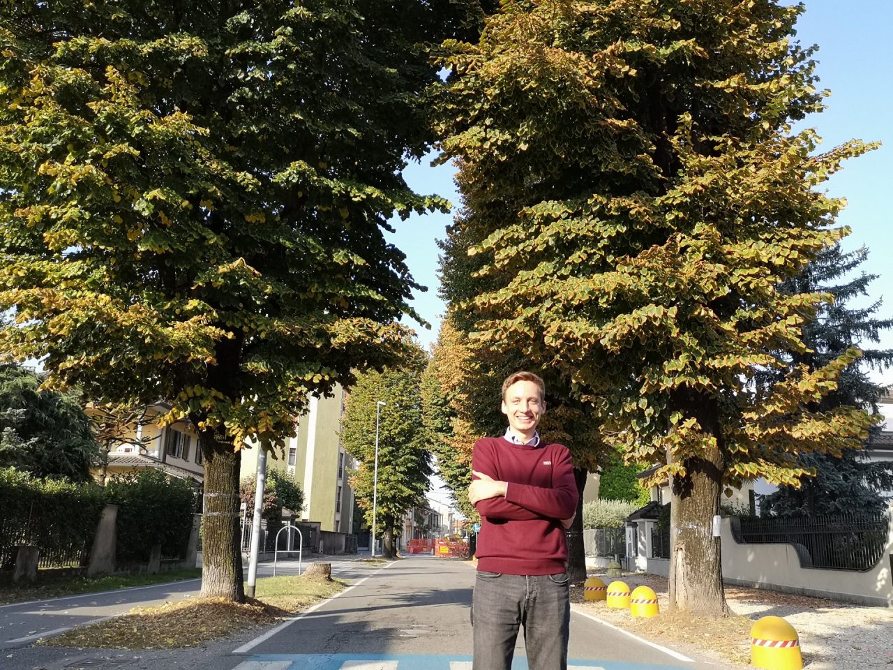 Un appello per gli alberi della memoria