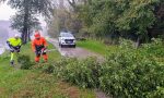 Protezione civile in azione lungo l'alzaia a Trezzo sull'Adda