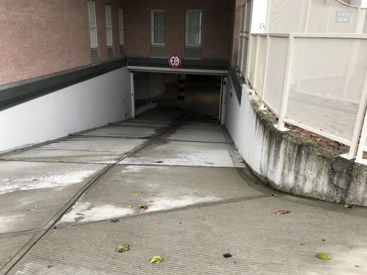 Farmacista investita dalla sua auto