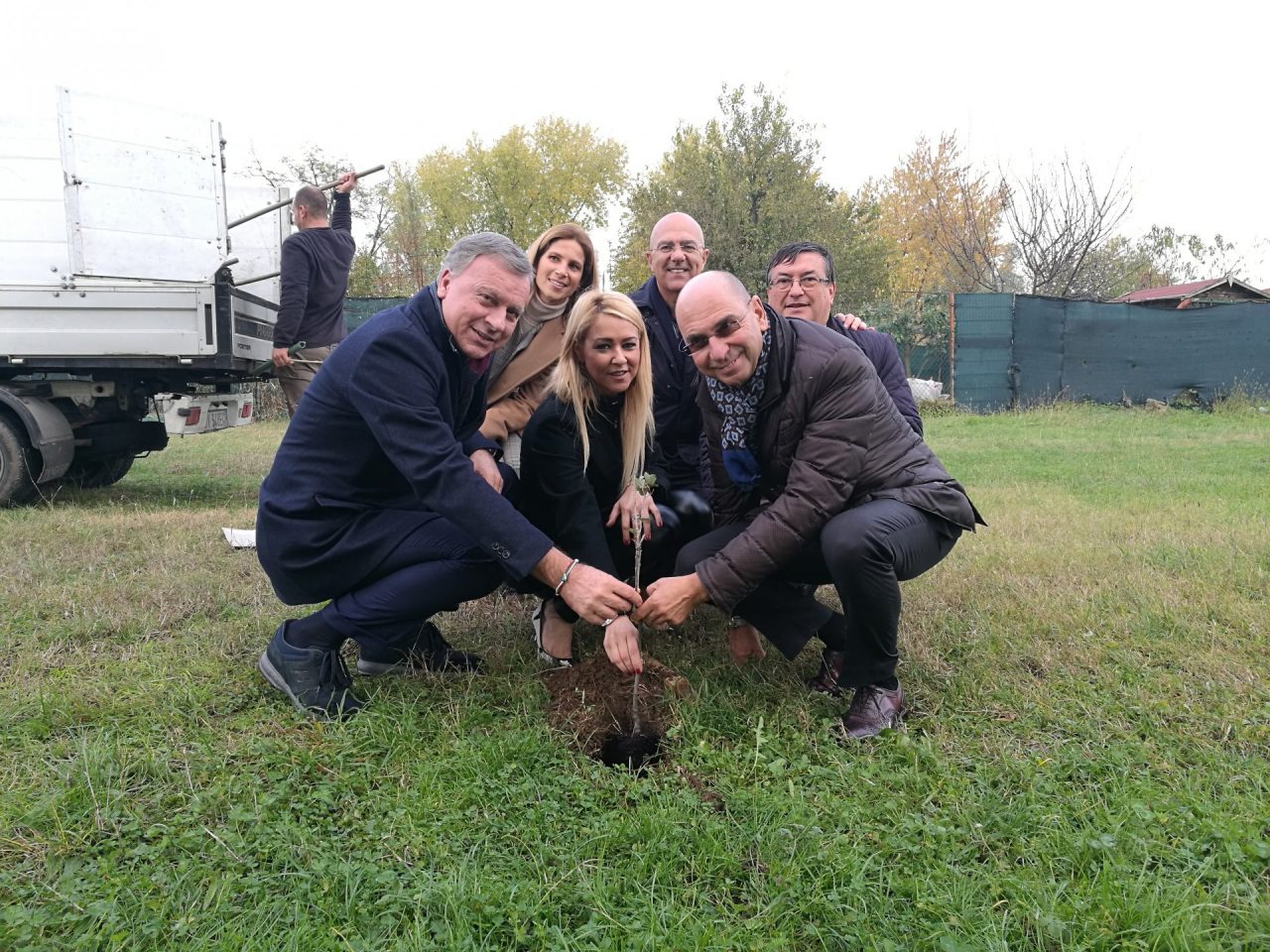 Oltre 700 alberi in arrivo a Monza: saranno piantati in ogni quartiere – LA MAPPA