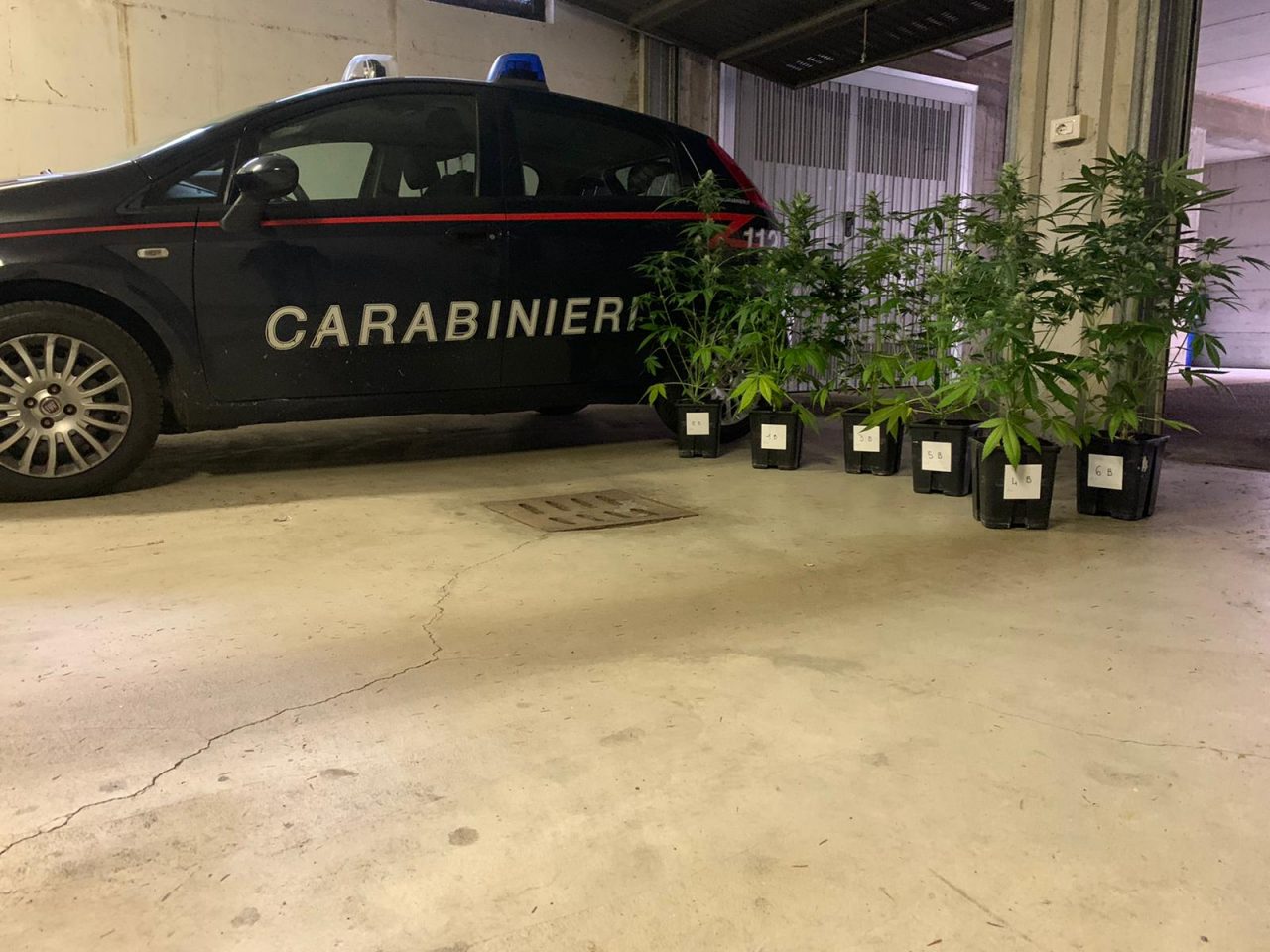 Intervengono per dissidi condominiali e scoprono la droga