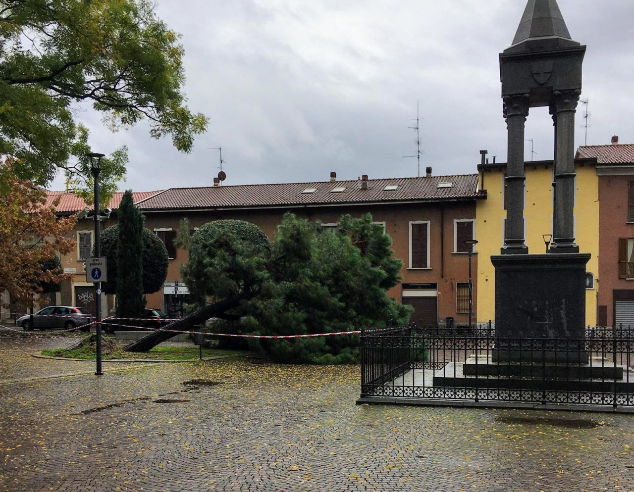 Maltempo cade un albero in piazza a Varedo