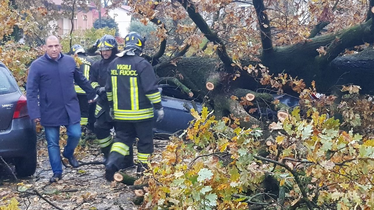 Maltempo in Brianza: albero sradicato a Mezzago distrugge una macchina FOTO