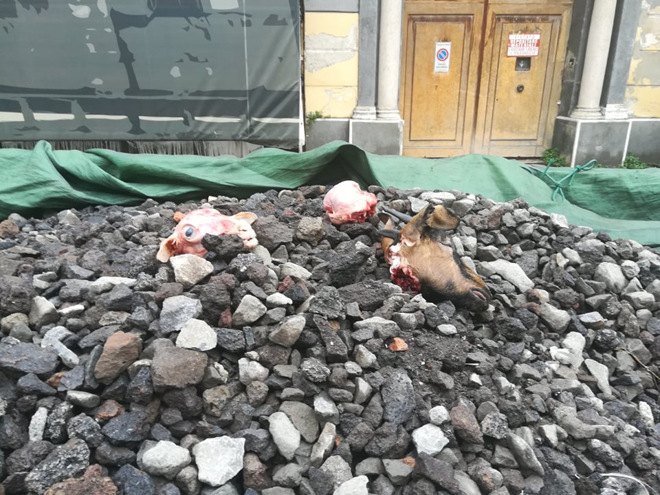 Teste di capre in piazza, intimidazione della mafia?