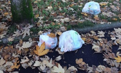 Scarica rifiuti nel giardino della scuola viene identificato e multato