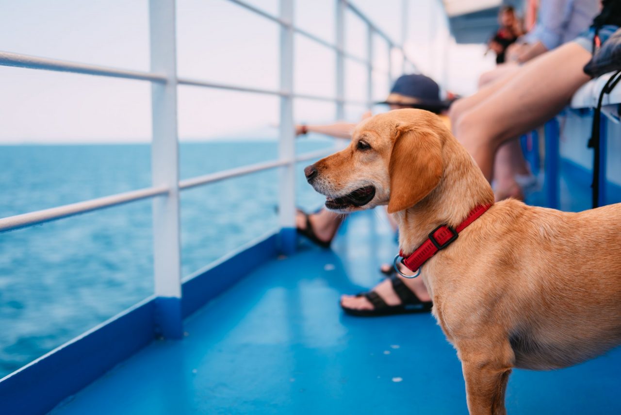 3 ottimi consigli per le vostre prossime vacanze estive