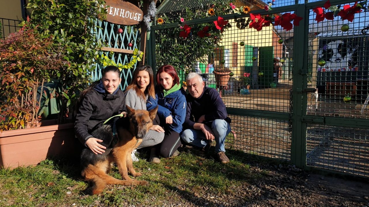 Una raccolta fondi per salvare Holly